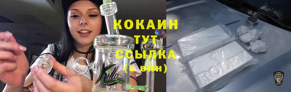 мескалин Инта